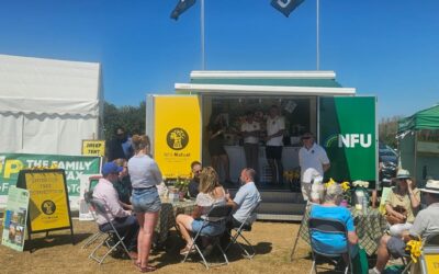 Island Farming in Focus – Summer Highlights & Future Vision